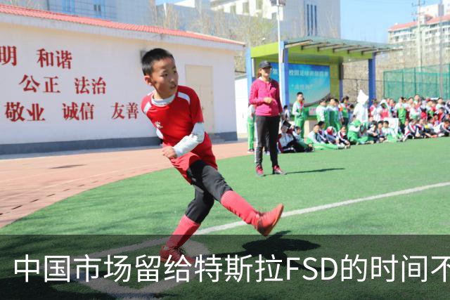 中国市场留给特斯拉FSD的时间不多了？