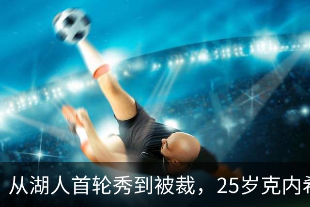 从湖人首轮秀到被裁，25岁克内希特转投尼克斯