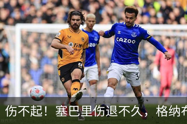 伤不起！塞巴里伤退不久，格纳布里也受伤被换下，斯坦尼西奇登场