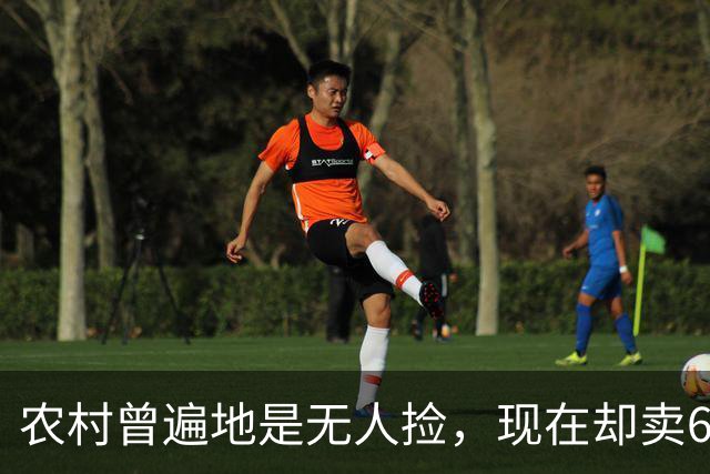 农村曾遍地是无人捡，现在却卖60元一斤，老农：这是“植物燕窝”