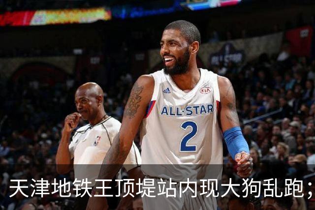 天津地铁王顶堤站内现大狗乱跑；地铁回应：应该是流浪狗；乘客疑惑：它咋过的安检？