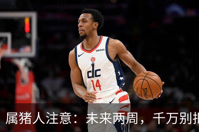 属猪人注意：未来两周，千万别把送上门的好事推走