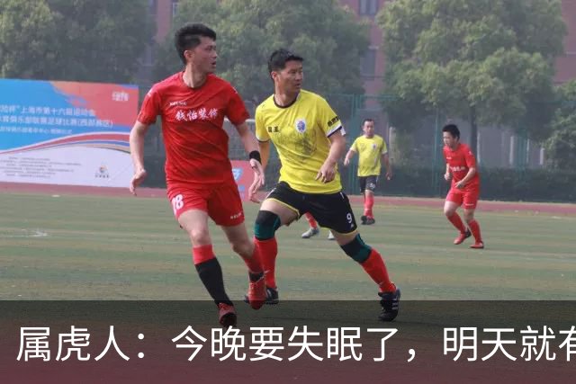 属虎人：今晚要失眠了，明天就有大事接二连三发生在你身上！