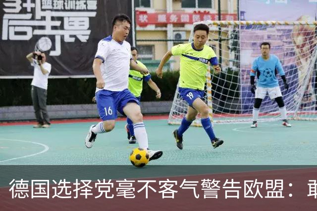 德国选择党毫不客气警告欧盟：敢拒绝我们的提议，后果将十分严重