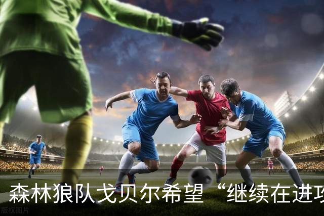 森林狼队戈贝尔希望“继续在进攻端统治比赛”，但会以自己的方式