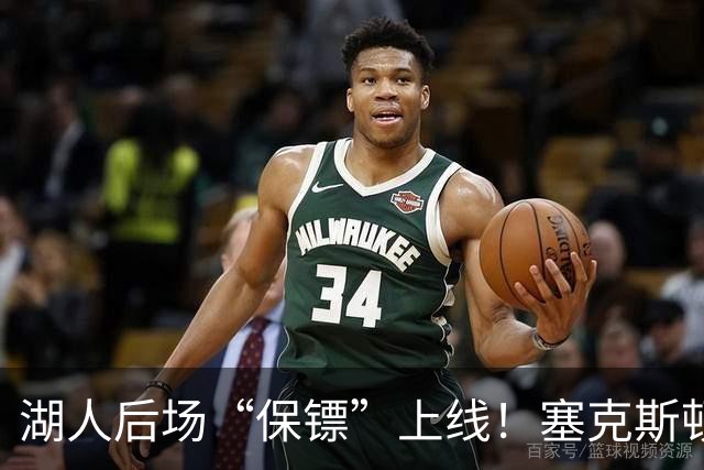 湖人后场“保镖”上线！塞克斯顿为东里组合减压