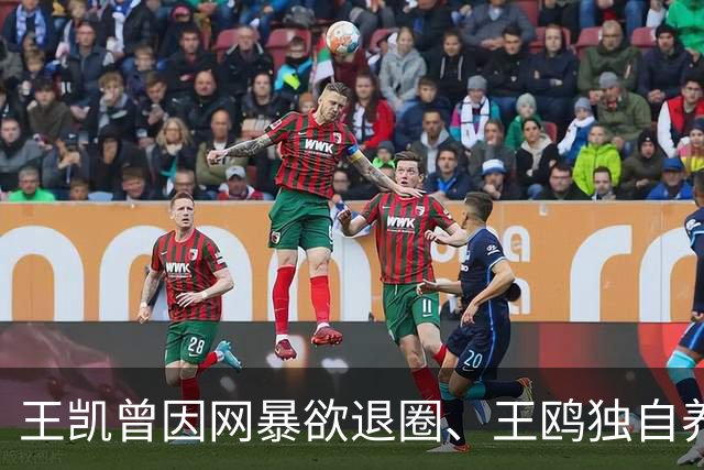 王凯曾因网暴欲退圈、王鸥独自养娃，两人为何此时大方同框？