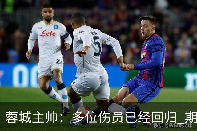 蓉城主帅：多位伤员已经回归 期待主场把这个冠军拿下