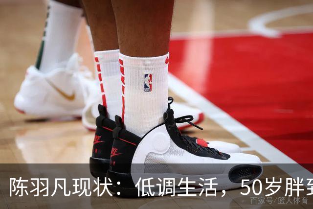 陈羽凡现状：低调生活，50岁胖到认不出，17岁儿子1米8长得像妈
