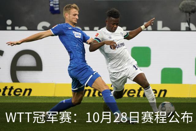 WTT冠军赛：10月28日赛程公布！国乒5人出战，世界第一王曼昱首秀